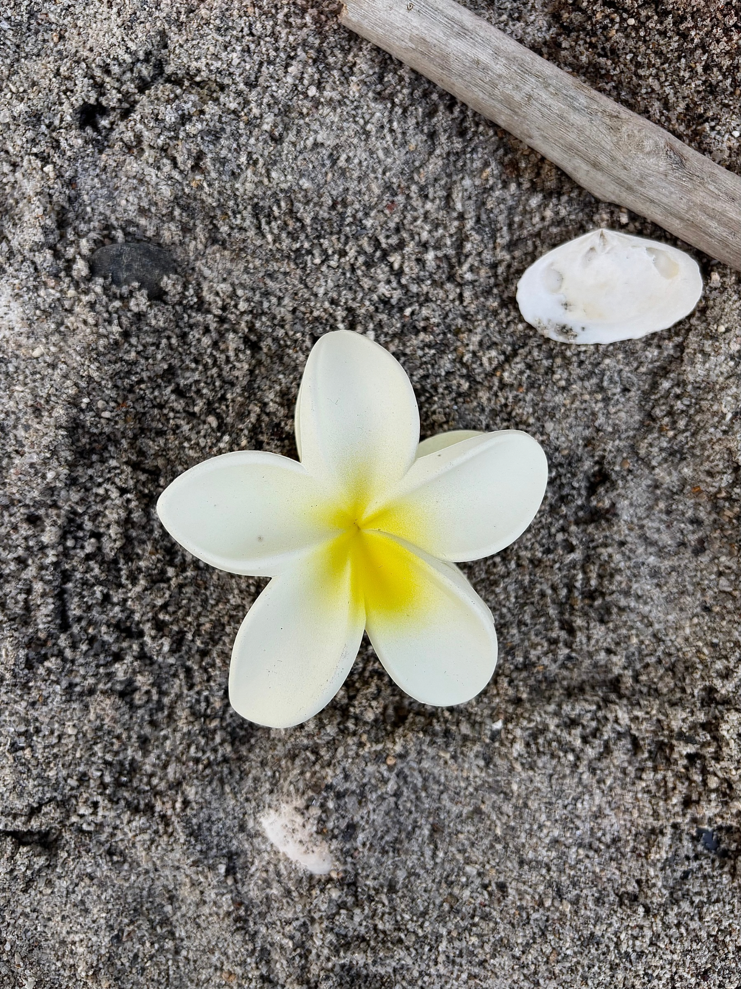 Plumeria Claw Clip Large