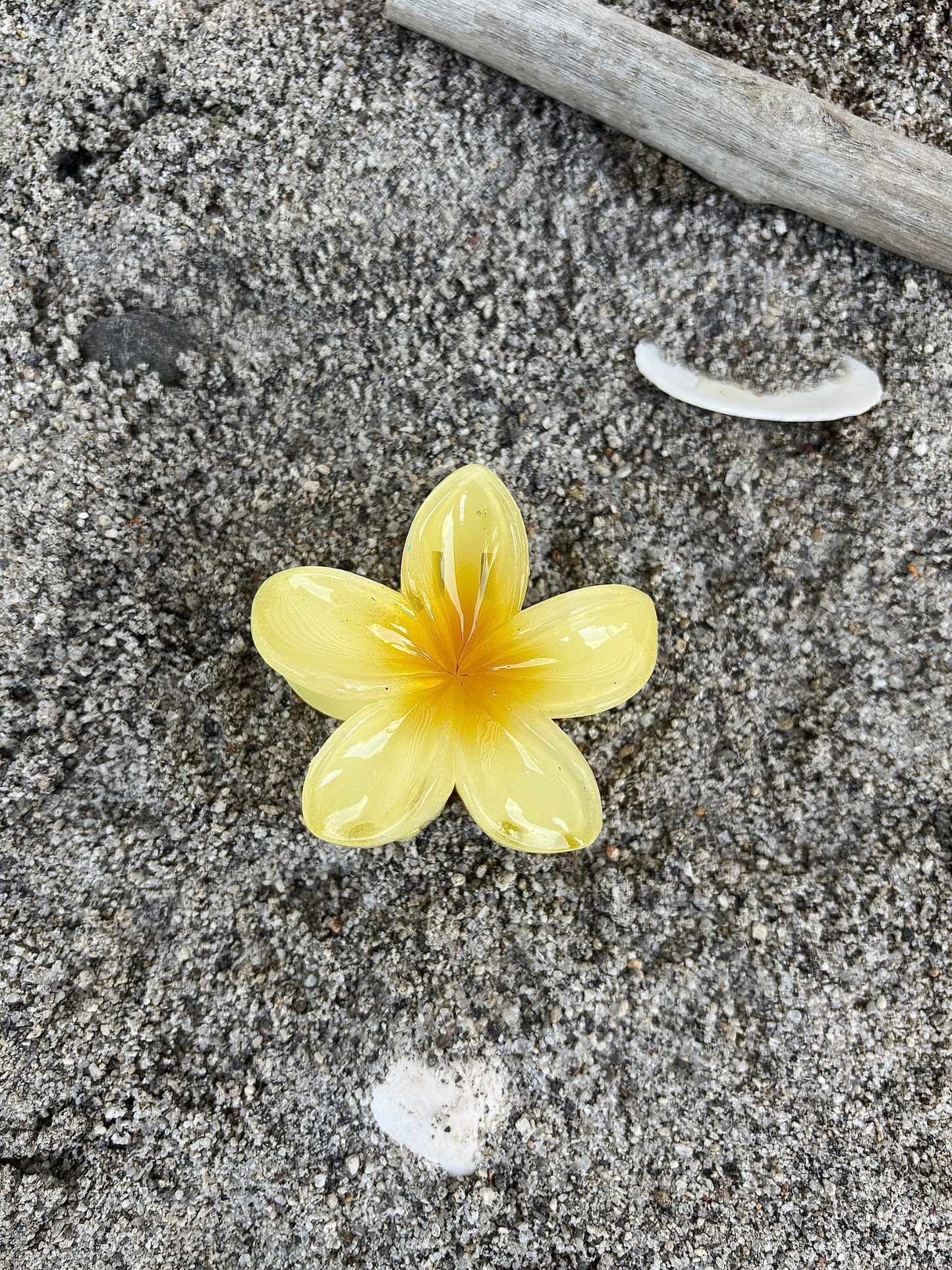 Plumeria Claw Clip Mini